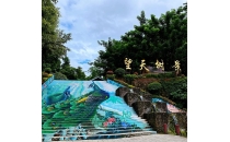 西双版纳望天树景区
